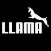 Llama-DI