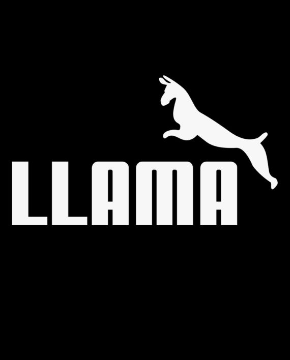 Llama-DI