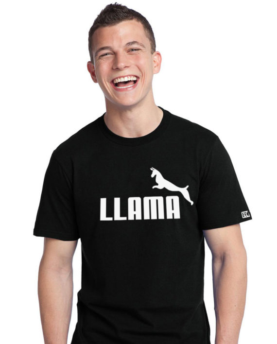 Llama-MI